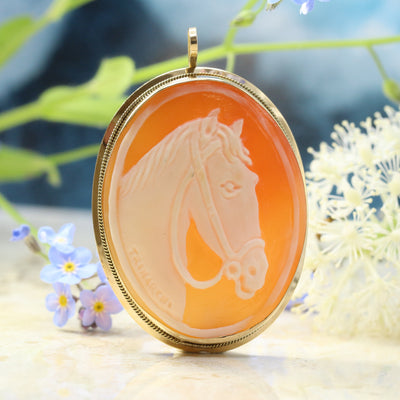 Cameo Horse Brooch
