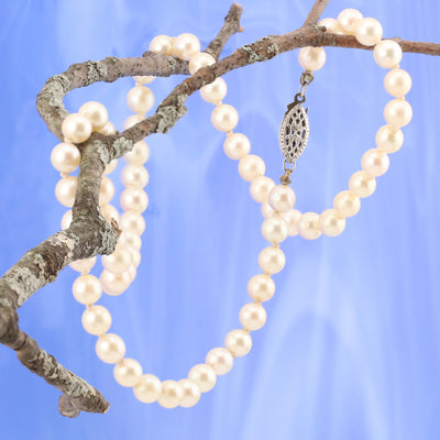 Pearl Strand