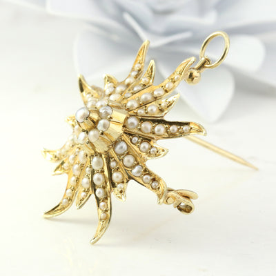 Sunburst Brooch