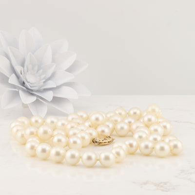 Pearl Necklace