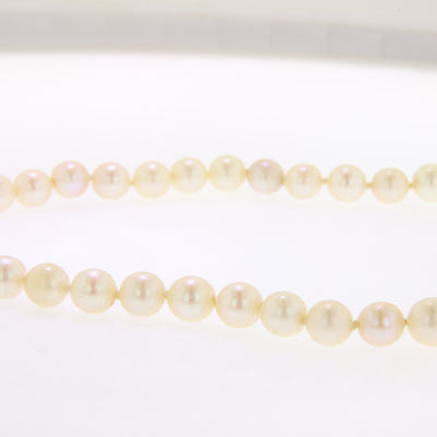 Pearl Strand